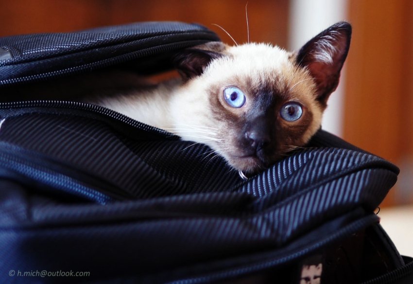 Studio-One.Art.br Repo Fotografia em Rio Preto SP/Brasil