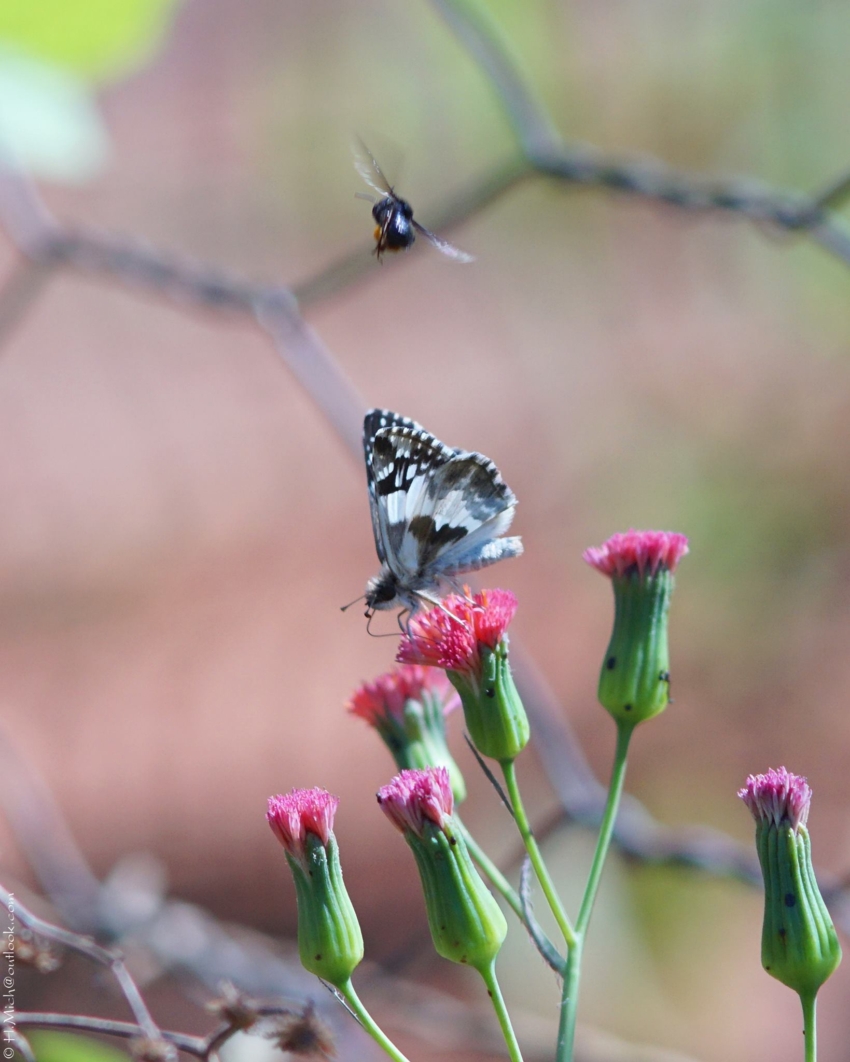 Studio-One.Art.br Repo Fotografia em Rio Preto SP/Brasil