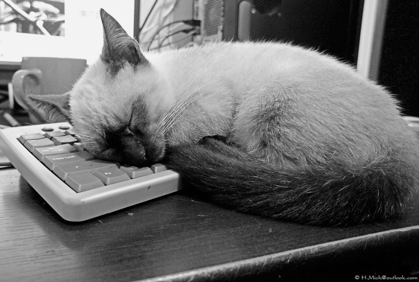 Studio-One.Art.br Repo Fotografia em Rio Preto SP/Brasil