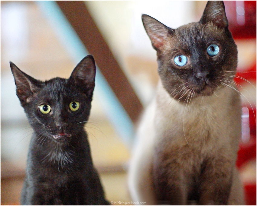 Studio-One.Art.br Repo Fotografia em Rio Preto SP/Brasil