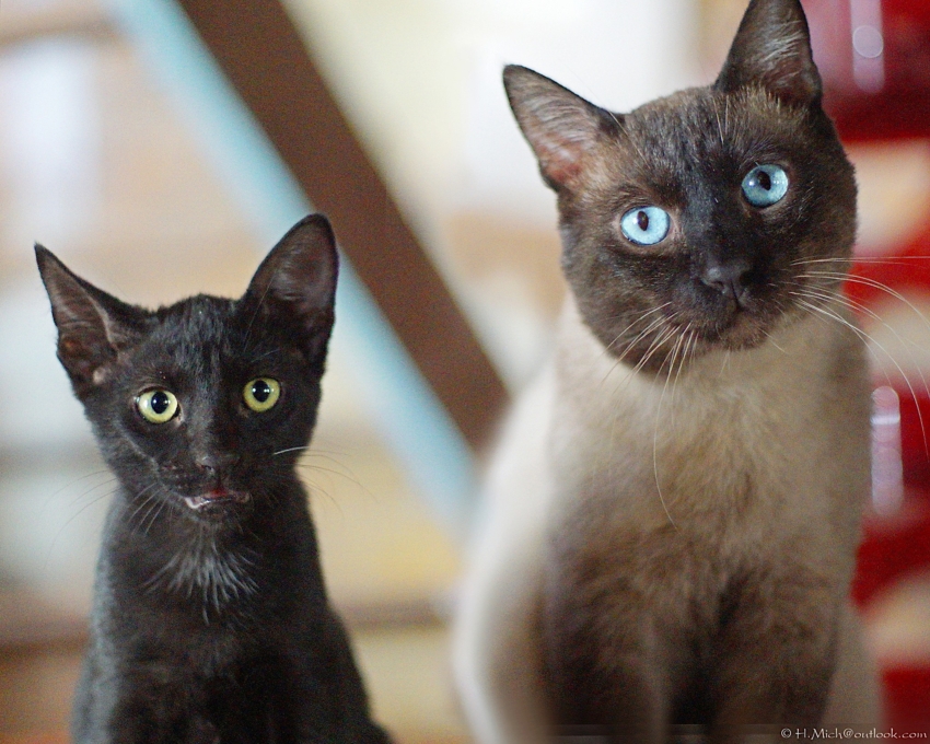 Studio-One.Art.br Repo Fotografia em Rio Preto SP/Brasil