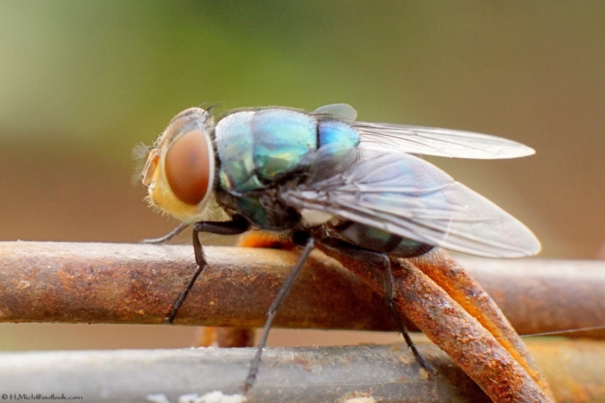 Studio-One.Art.br Repo Fotografia em Rio Preto SP/Brasil