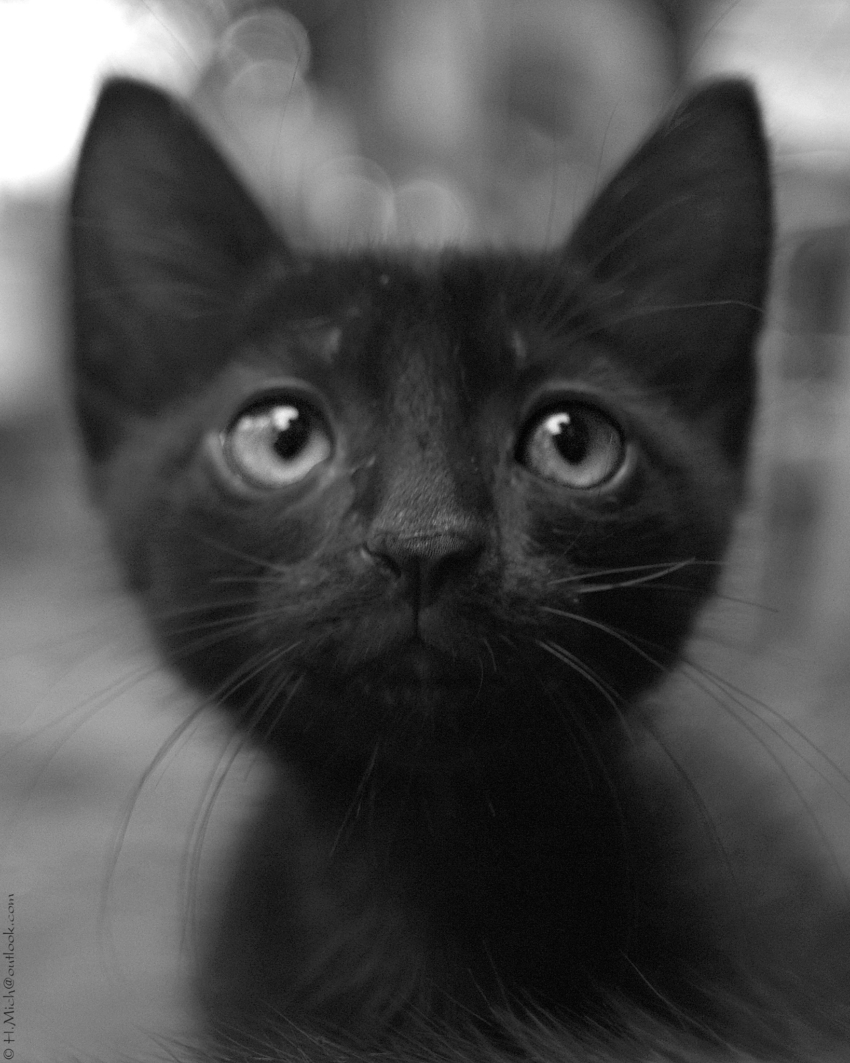 Studio-One.Art.br Repo Fotografia em Rio Preto SP/Brasil