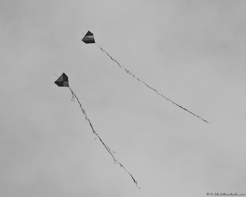 Studio-One.Art.br Repo Fotografia em Rio Preto SP/Brasil