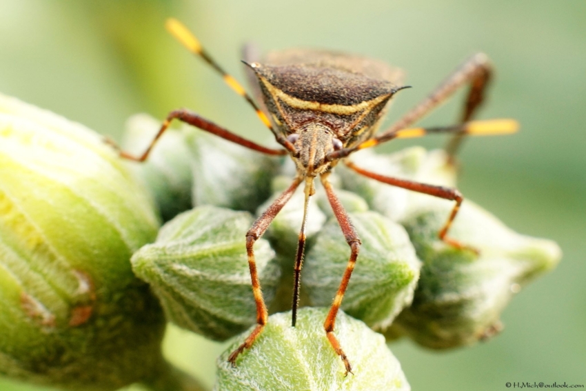 Studio-One.Art.br Repo Fotografia em Rio Preto SP/Brasil