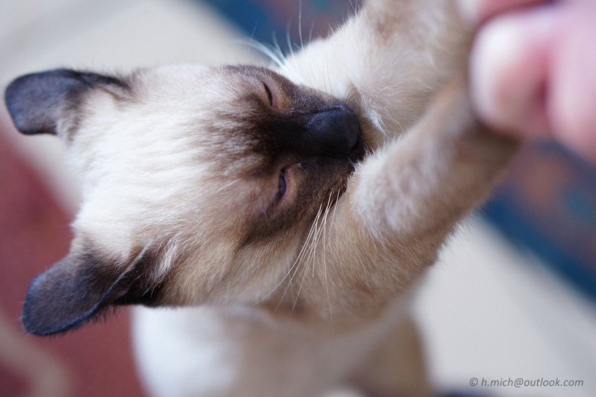 Studio-One.Art.br Repo Fotografia em Rio Preto SP/Brasil