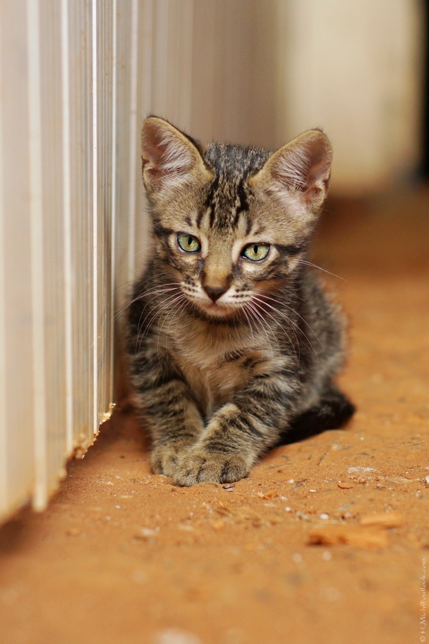 Studio-One.Art.br Repo Fotografia em Rio Preto SP/Brasil