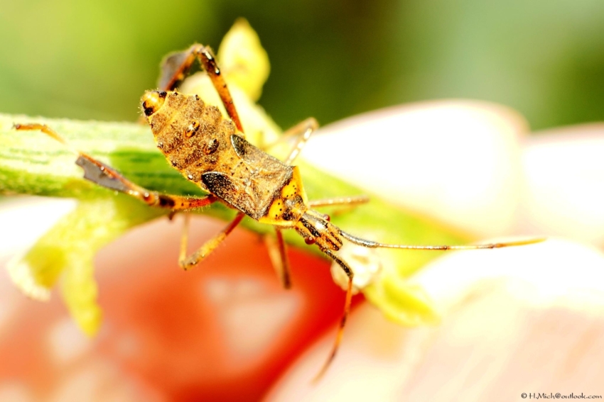 Studio-One.Art.br Repo Fotografia em Rio Preto SP/Brasil