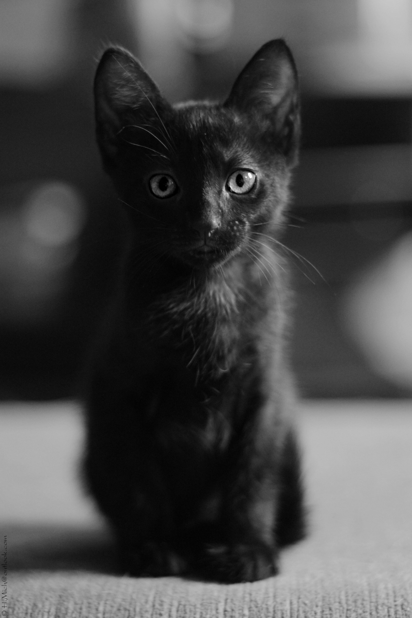 Studio-One.Art.br Repo Fotografia em Rio Preto SP/Brasil