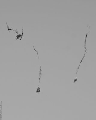 2022 06 16(64)