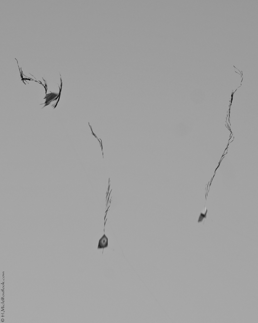 Studio-One.Art.br Repo Fotografia em Rio Preto SP/Brasil