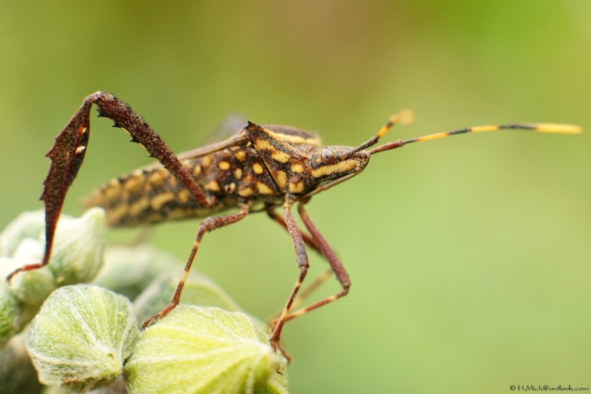 Studio-One.Art.br Repo Fotografia em Rio Preto SP/Brasil