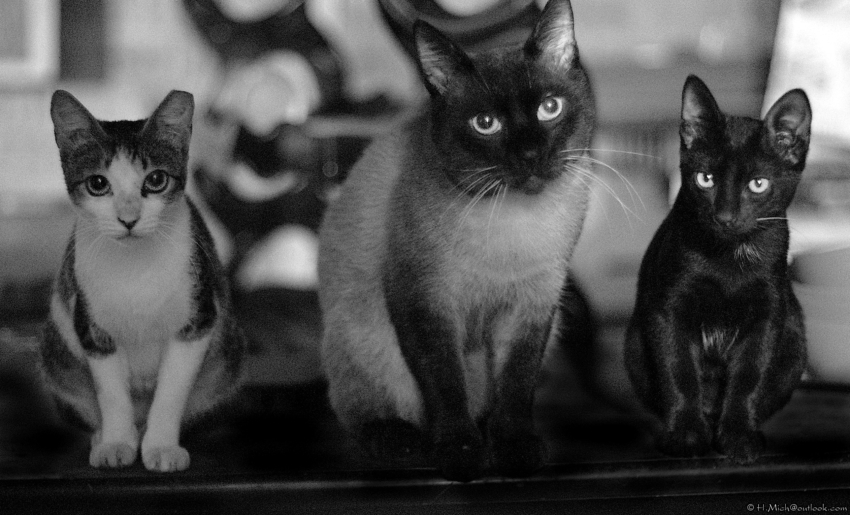 Studio-One.Art.br Repo Fotografia em Rio Preto SP/Brasil