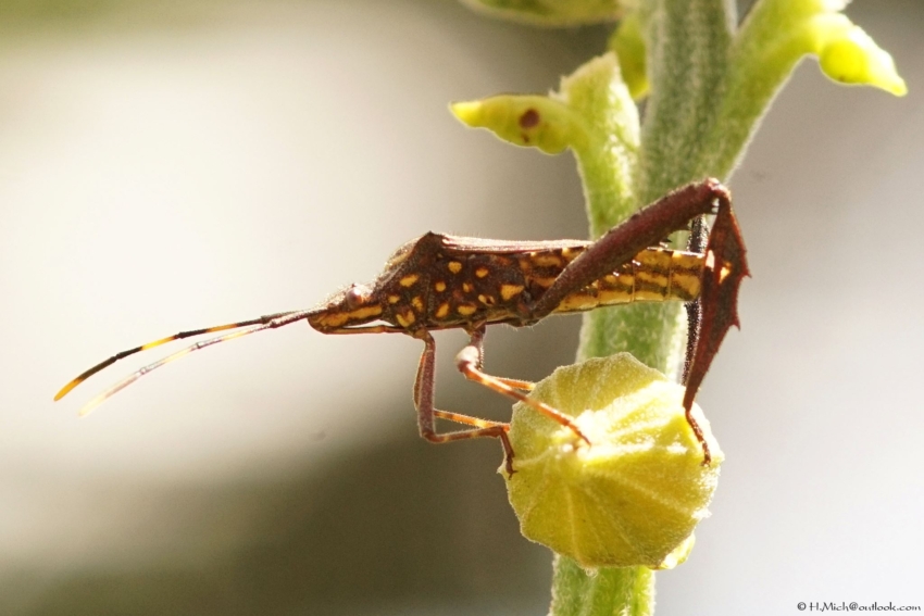Studio-One.Art.br Repo Fotografia em Rio Preto SP/Brasil
