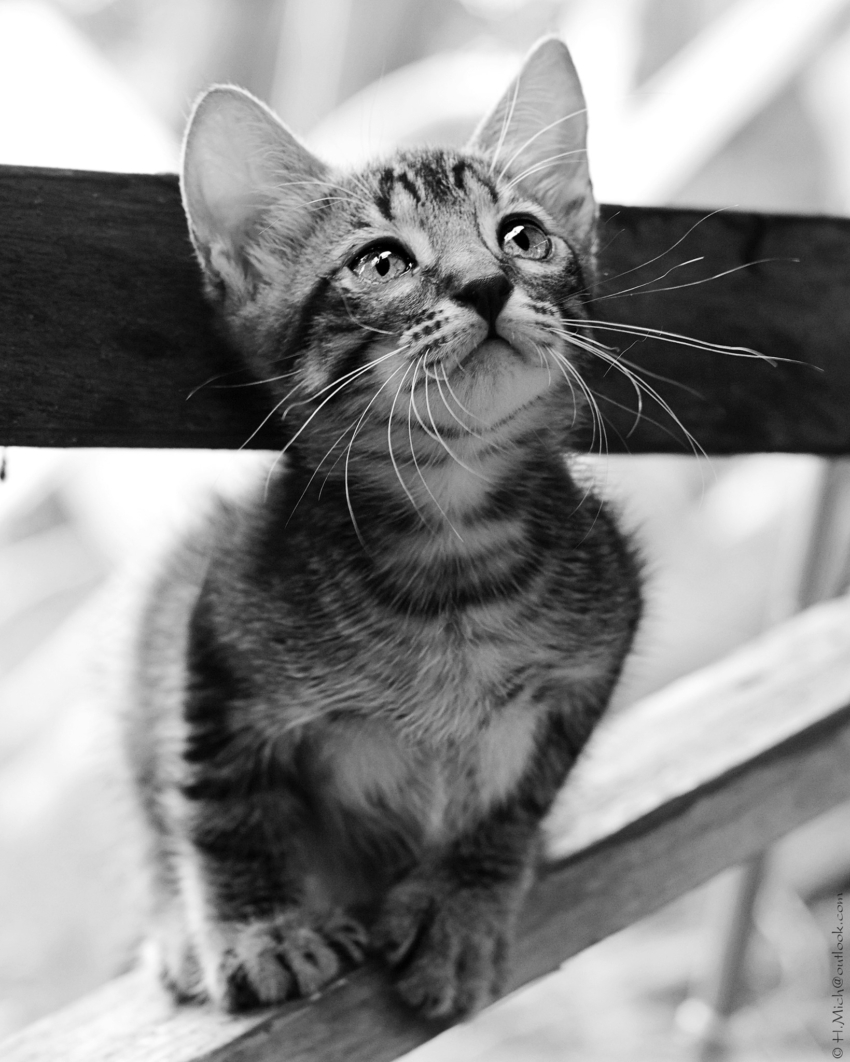 Studio-One.Art.br Repo Fotografia em Rio Preto SP/Brasil