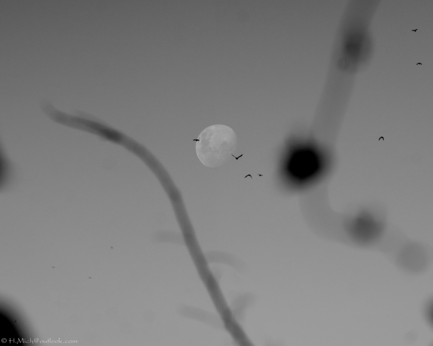 Studio-One.Art.br Repo Fotografia em Rio Preto SP/Brasil