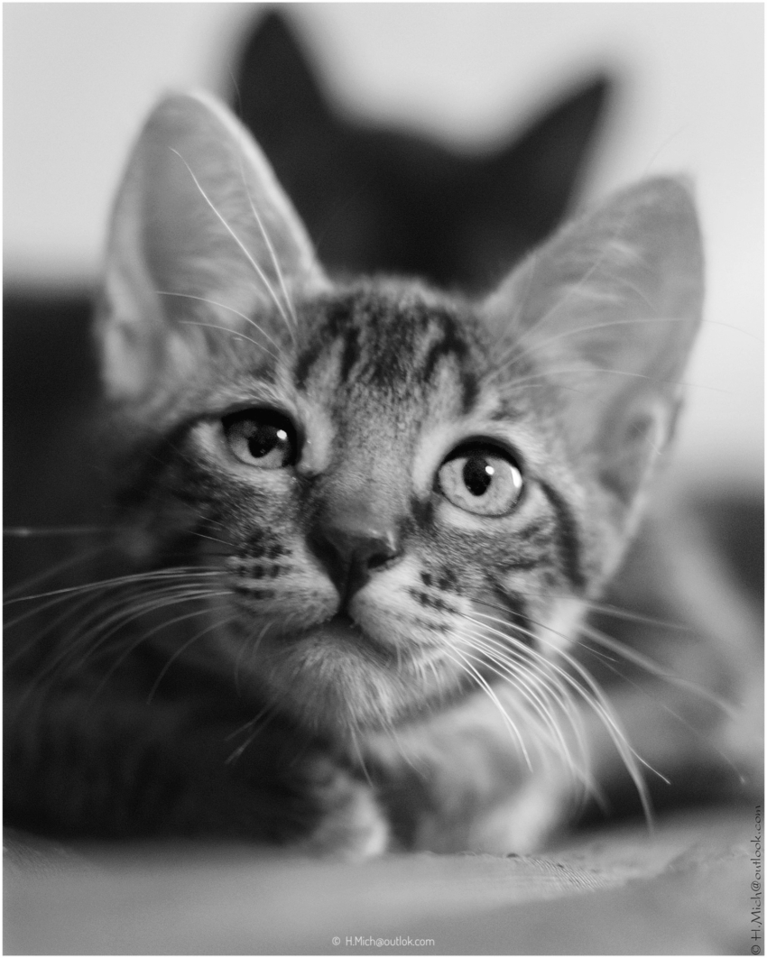 Studio-One.Art.br Repo Fotografia em Rio Preto SP/Brasil