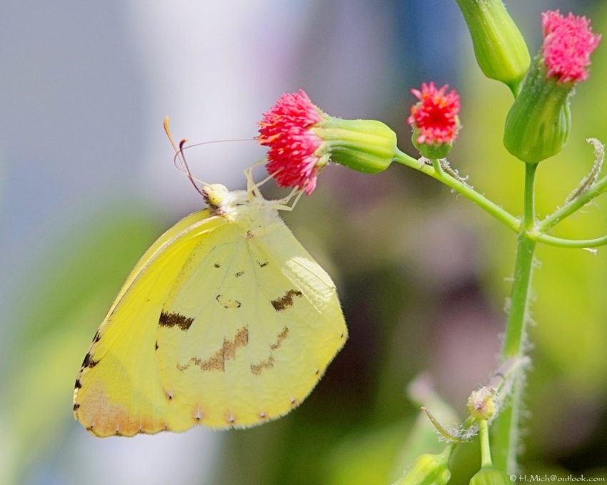 Studio-One.Art.br Repo Fotografia em Rio Preto SP/Brasil