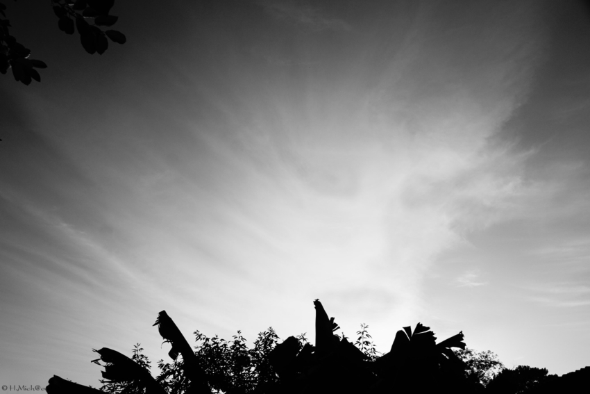 Studio-One.Art.br Repo Fotografia em Rio Preto SP/Brasil