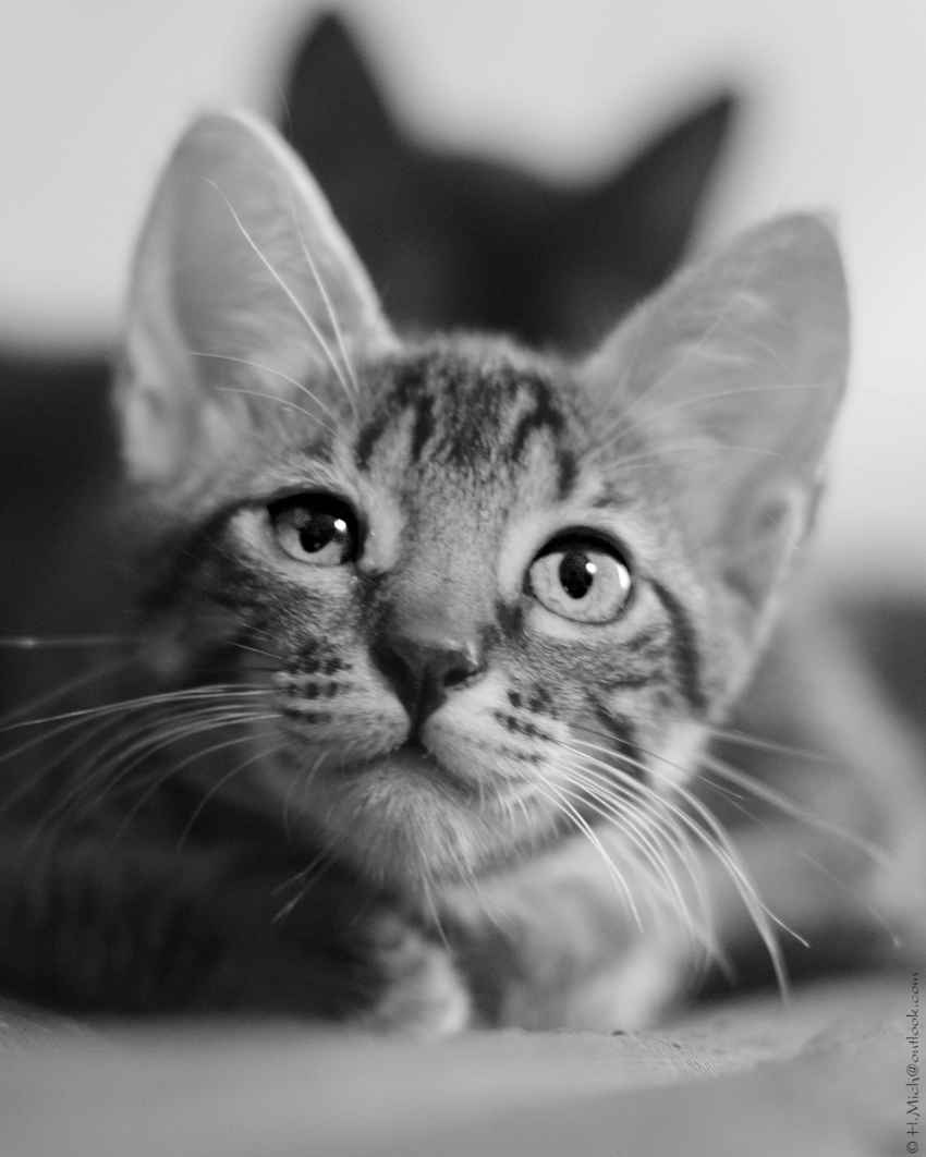 Studio-One.Art.br Repo Fotografia em Rio Preto SP/Brasil