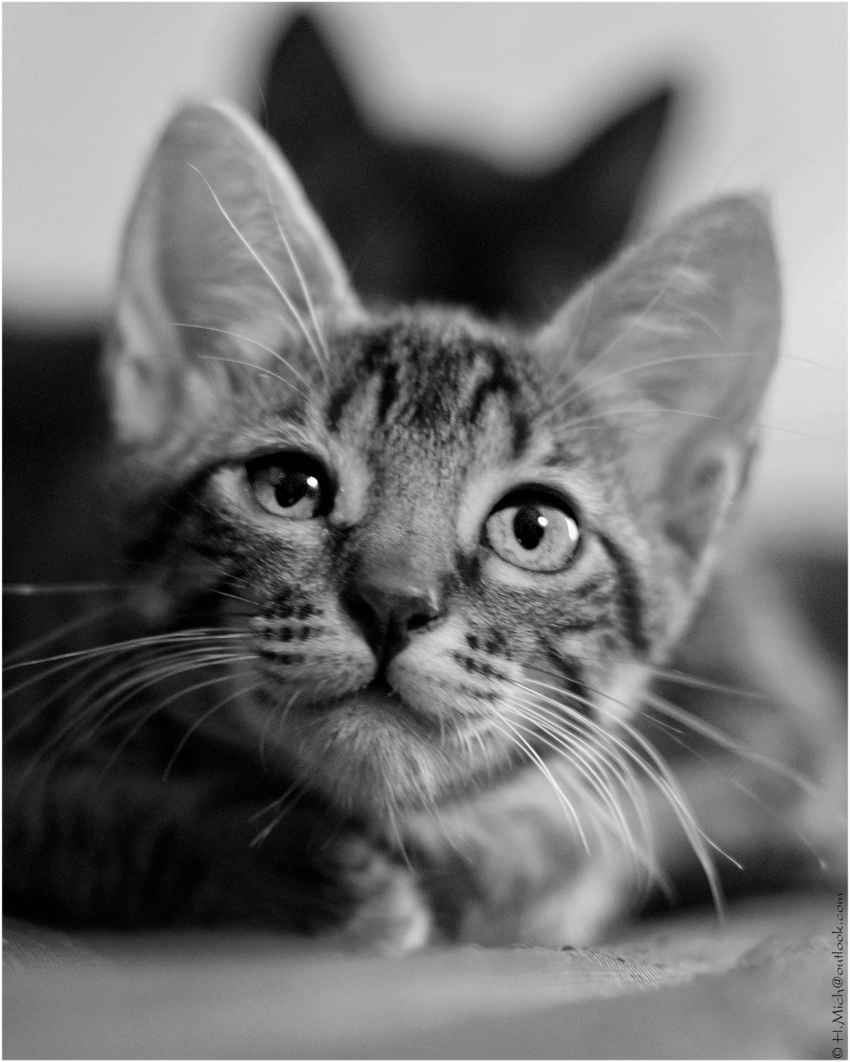 Studio-One.Art.br Repo Fotografia em Rio Preto SP/Brasil