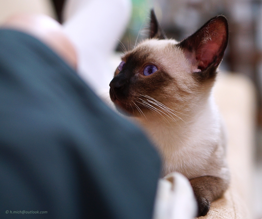 Studio-One.Art.br Repo Fotografia em Rio Preto SP/Brasil