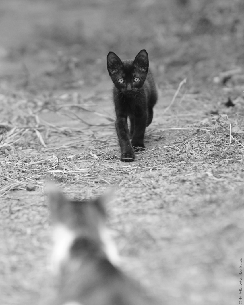 Studio-One.Art.br Repo Fotografia em Rio Preto SP/Brasil