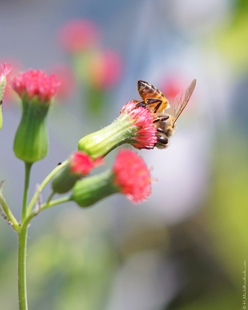 Studio-One.Art.br Repo Fotografia em Rio Preto SP/Brasil