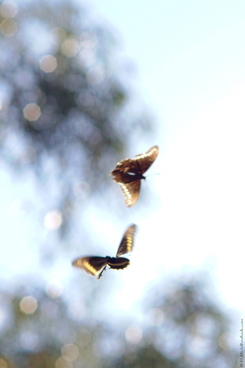 Studio-One.Art.br Repo Fotografia em Rio Preto SP/Brasil