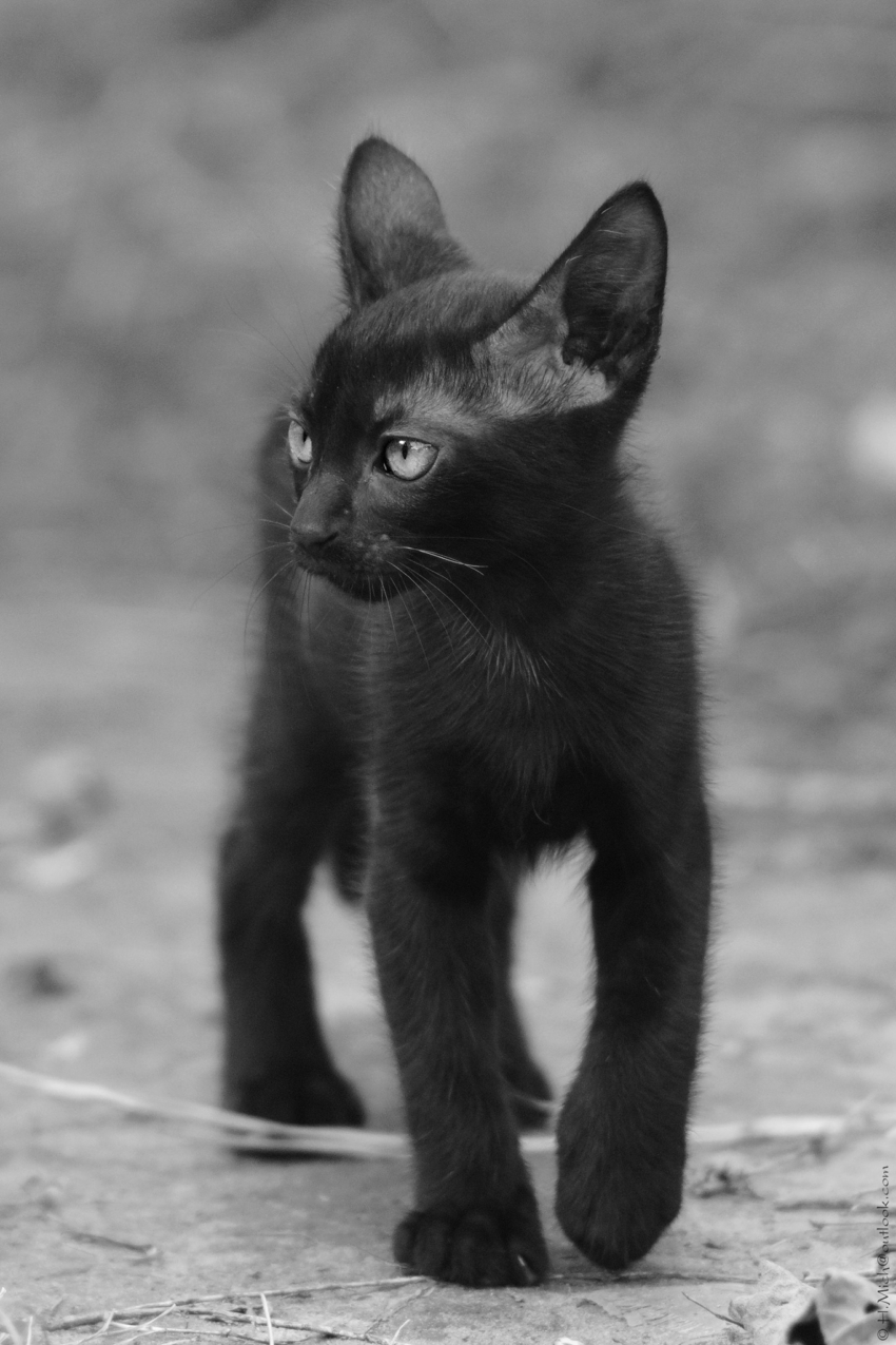 Studio-One.Art.br Repo Fotografia em Rio Preto SP/Brasil