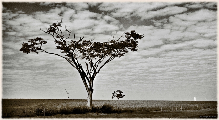 Studio-One.Art.br Repo Fotografia em Rio Preto SP/Brasil