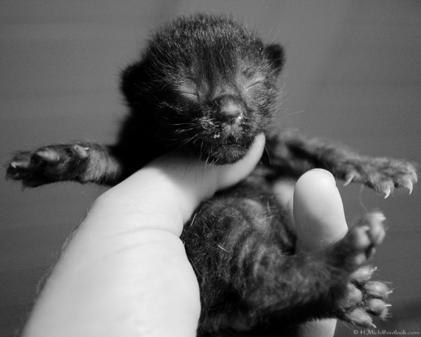 Studio-One.Art.br Repo Fotografia em Rio Preto SP/Brasil