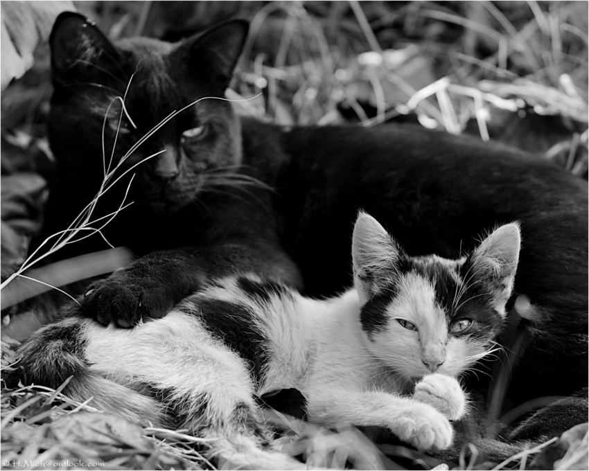 Studio-One.Art.br Repo Fotografia em Rio Preto SP/Brasil