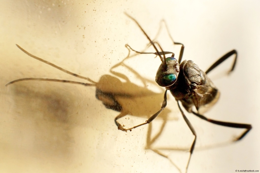 Studio-One.Art.br Repo Fotografia em Rio Preto SP/Brasil