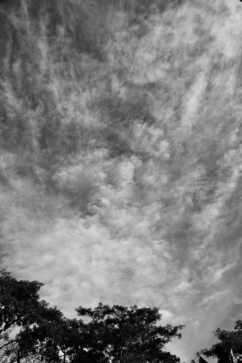 Studio-One.Art.br Repo Fotografia em Rio Preto SP/Brasil