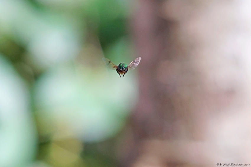 Studio-One.Art.br Repo Fotografia em Rio Preto SP/Brasil