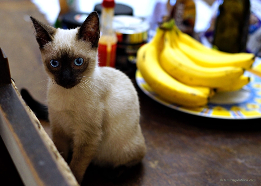 Studio-One.Art.br Repo Fotografia em Rio Preto SP/Brasil