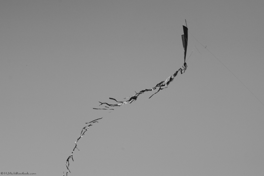 Studio-One.Art.br Repo Fotografia em Rio Preto SP/Brasil