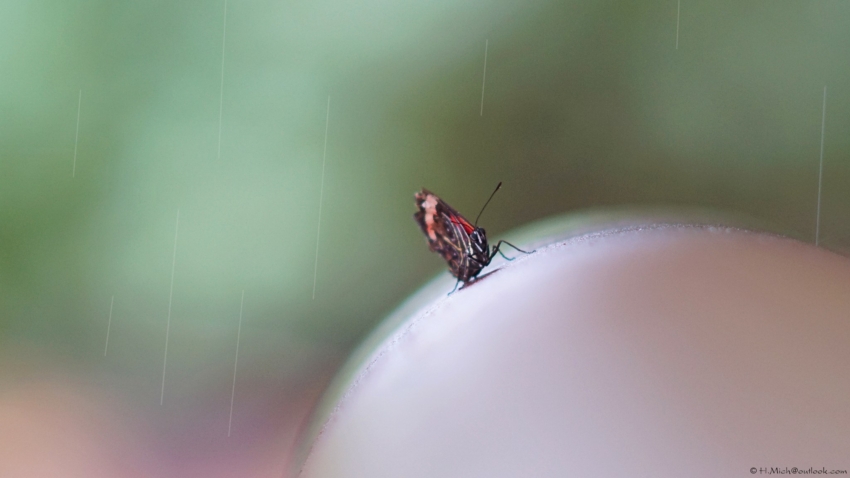 Studio-One.Art.br Repo Fotografia em Rio Preto SP/Brasil