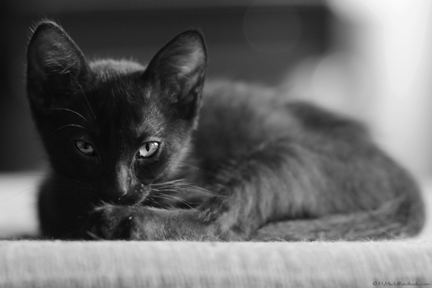 Studio-One.Art.br Repo Fotografia em Rio Preto SP/Brasil