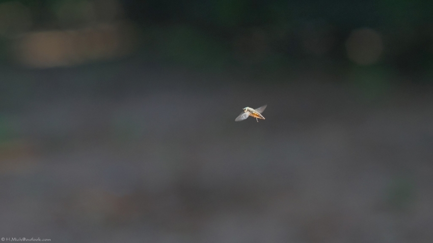 Studio-One.Art.br Repo Fotografia em Rio Preto SP/Brasil