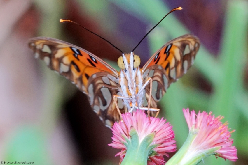 Studio-One.Art.br Repo Fotografia em Rio Preto SP/Brasil
