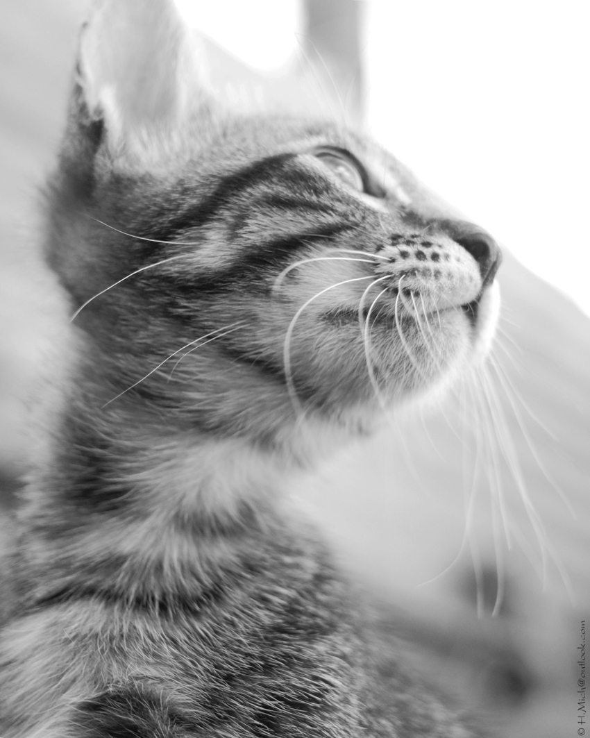 Studio-One.Art.br Repo Fotografia em Rio Preto SP/Brasil