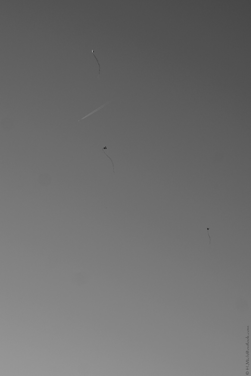 Studio-One.Art.br Repo Fotografia em Rio Preto SP/Brasil