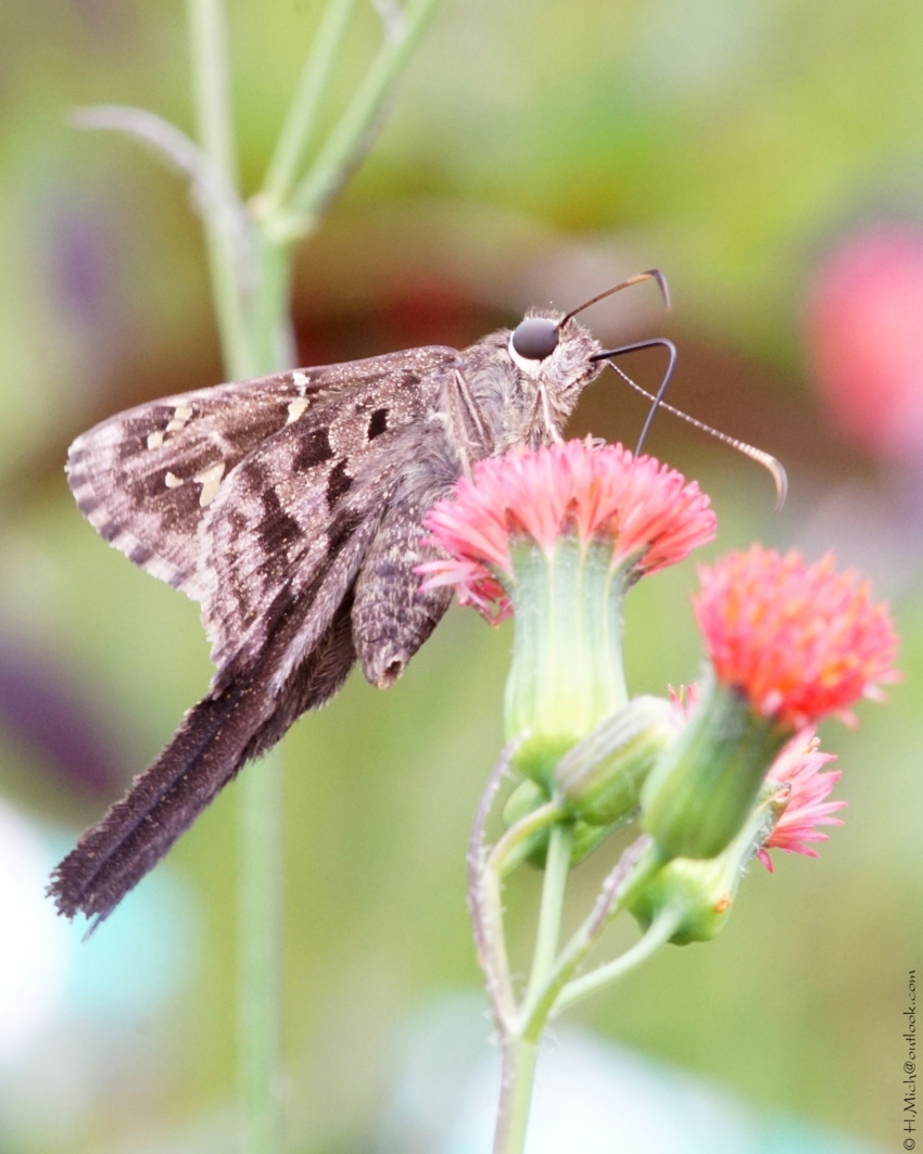 Studio-One.Art.br Repo Fotografia em Rio Preto SP/Brasil