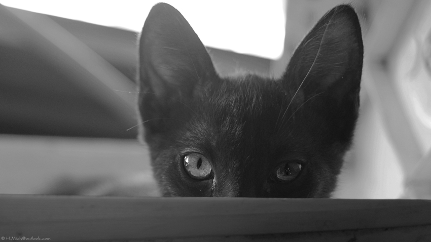 Studio-One.Art.br Repo Fotografia em Rio Preto SP/Brasil