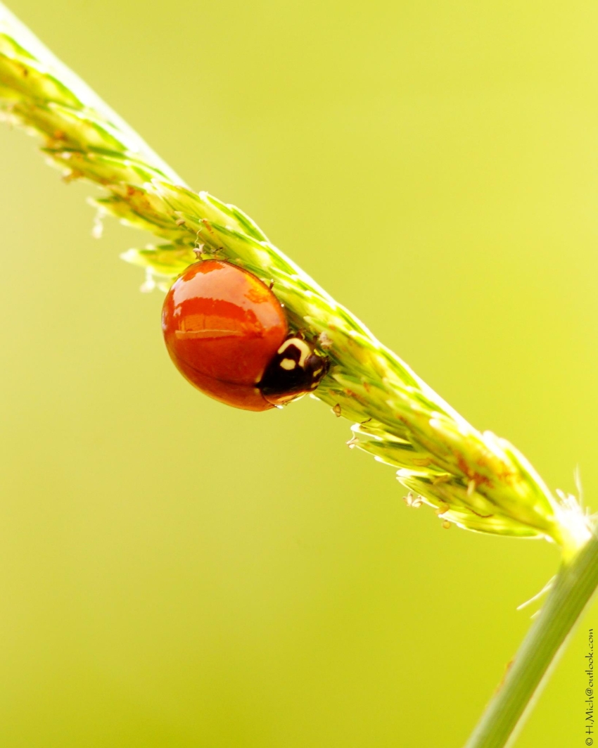 Studio-One.Art.br Repo Fotografia em Rio Preto SP/Brasil