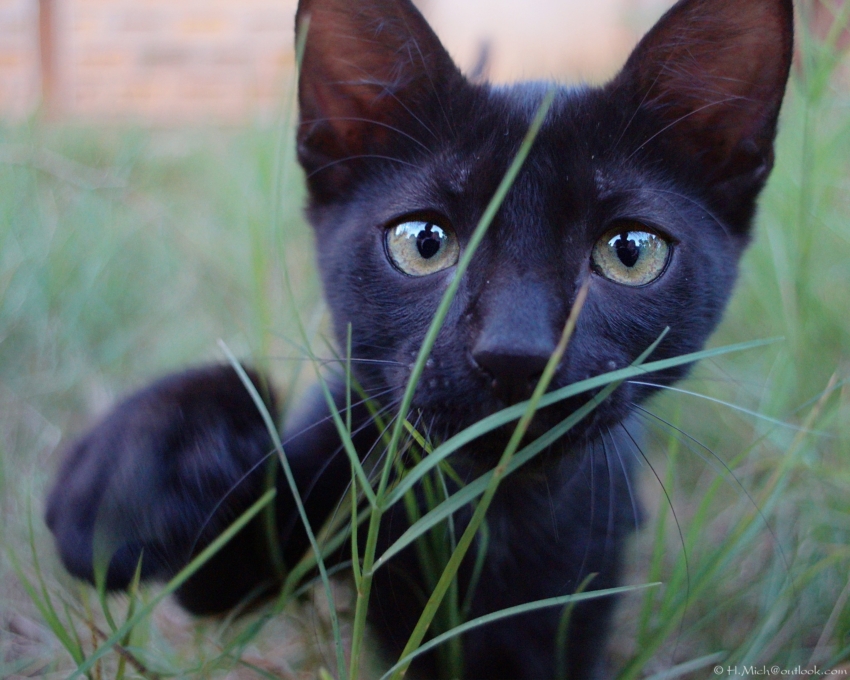 Studio-One.Art.br Repo Fotografia em Rio Preto SP/Brasil