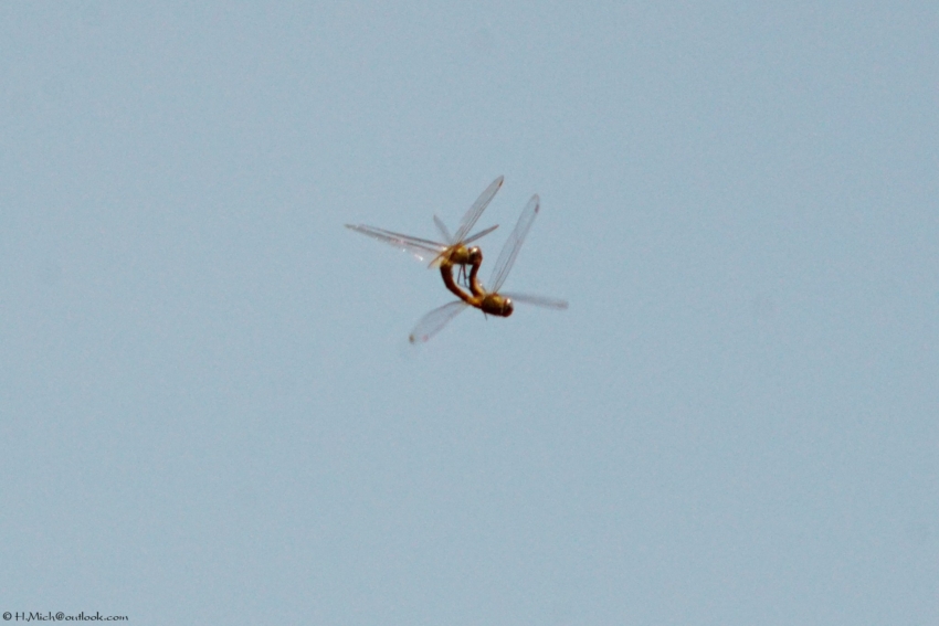 Studio-One.Art.br Repo Fotografia em Rio Preto SP/Brasil