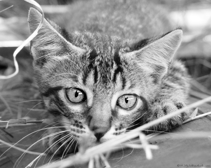 Studio-One.Art.br Repo Fotografia em Rio Preto SP/Brasil